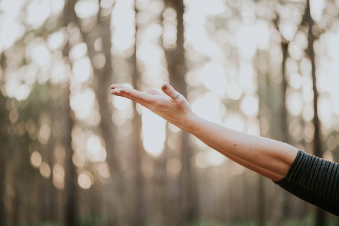 Exploring Peninsula Alternative Health Options